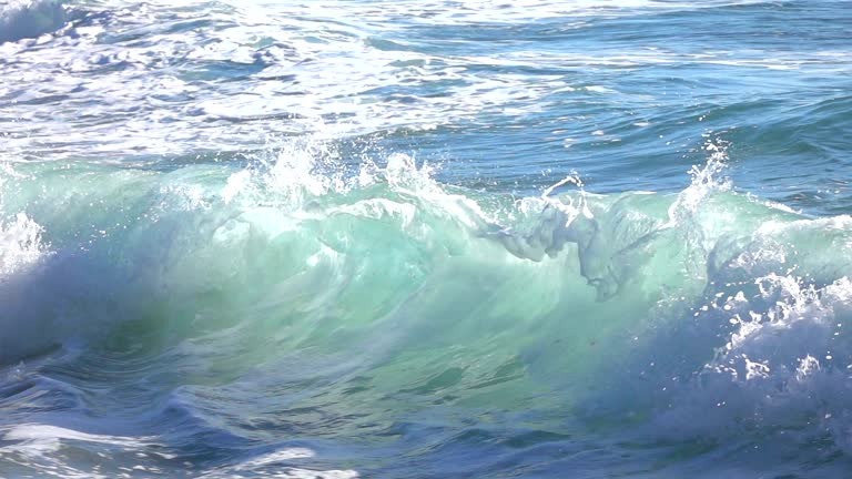 Surf Resources to Help You Ride Bigger Waves