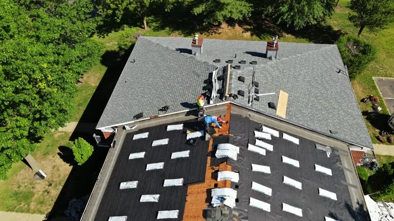 Local Roofer Bellevue for Emergency Roofing Services