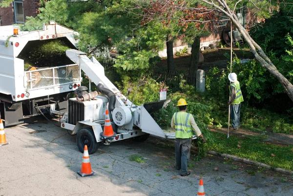 Emergency Tree Removal Companies Near Me You Can Trust