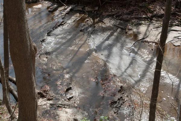 Expert Advice for Handling Water Leaks Severna Park Efficiently
