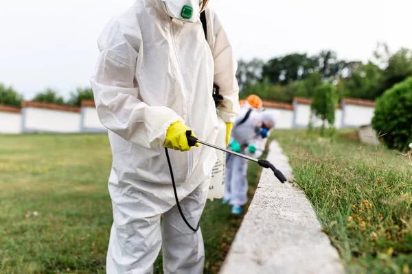 Professional Lawn Pest Control Solutions for Your Outdoor Space