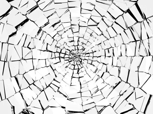 Why Hurricane Impact Windows Are Worth the Investment