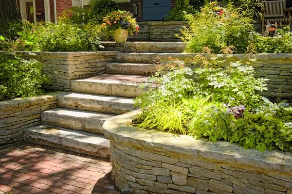 Keep Your Lawn Healthy with Professional Lawn Care